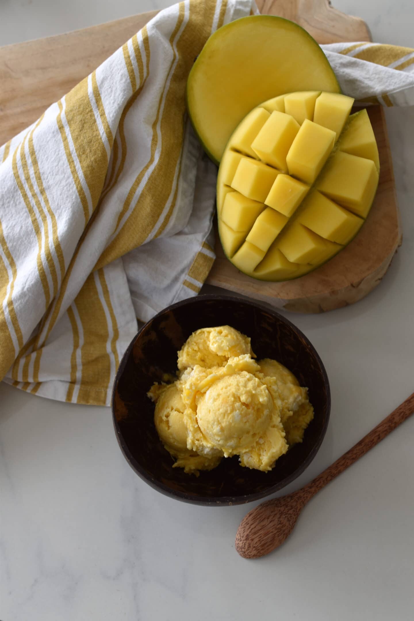 Frozen Yoghurt Mango Sorbet