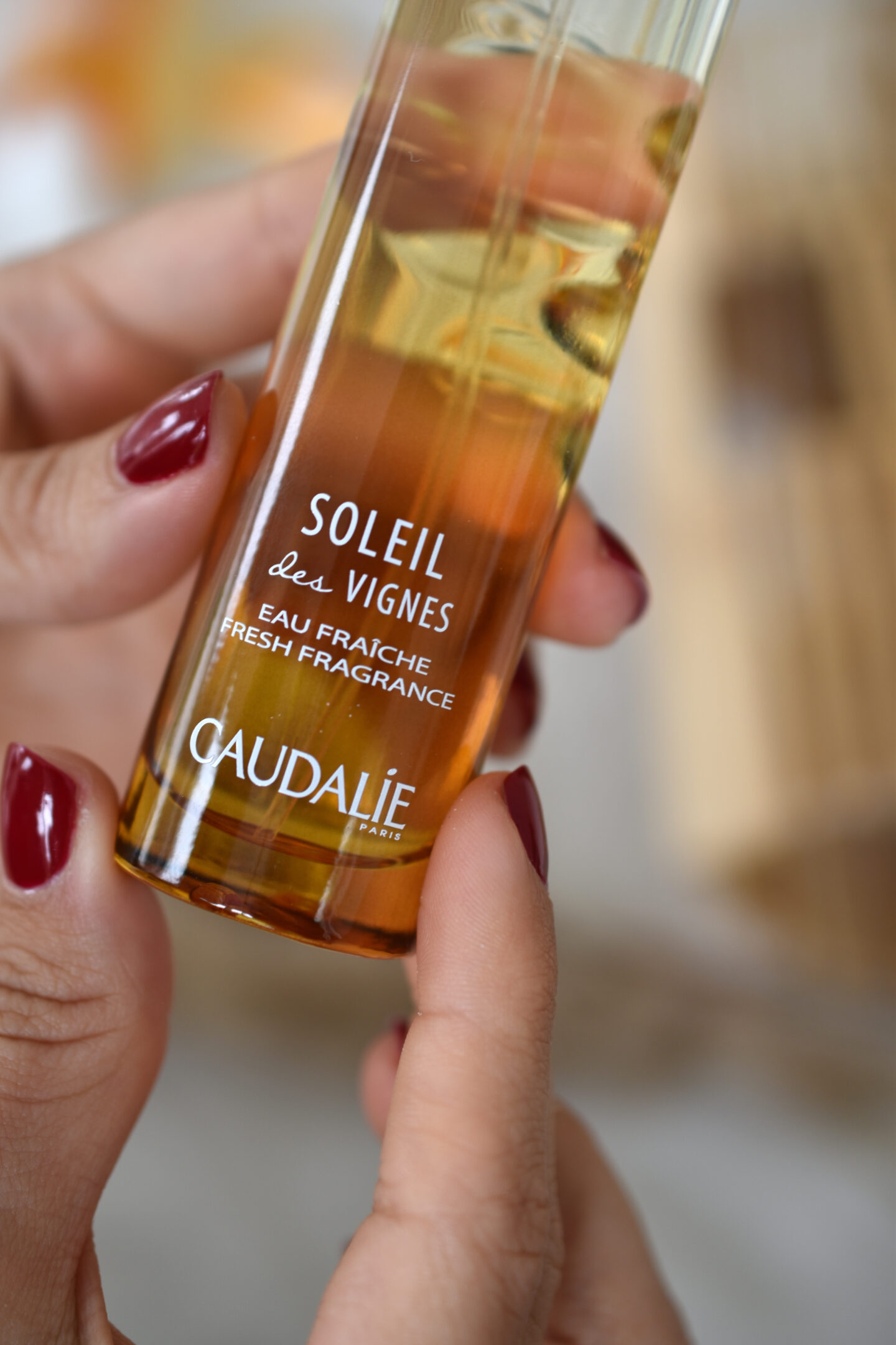 SOLEIL DES VIGNES